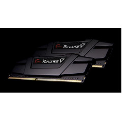 G.SKILL F4-3200C16D-64GVK 64GB (2 x 32GB)/ PC4-25600 / DDR4 3200 Mhz/ Timings 16-18-18-38/ Voltage 1.35V/ RipjawsV