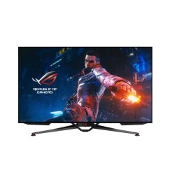 ASUS PG42UQ 41.5