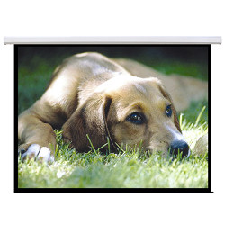 Brateck Standard Electric Projector Screen - 100