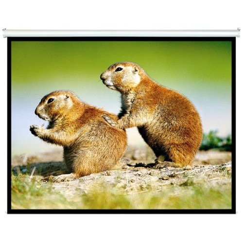 Brateck Manual Projector Screen 2.0x1.5m (4:3 ratio)