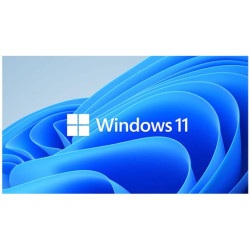 Microsoft Windows 11 Professional for Workstation 64 BIT - By Order NEW