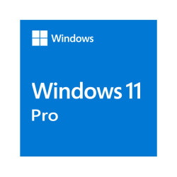 Microsoft Windows 11 Professional OEM 64-bit English 1 Pack DVD. Key NEW