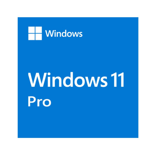 Microsoft Windows 11 Professional OEM 64-bit English 1 Pack DVD. Key NEW