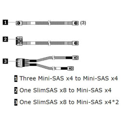 LENOVO ThinkSystem SR250 V2 X30/X40 RAID Cable Kit